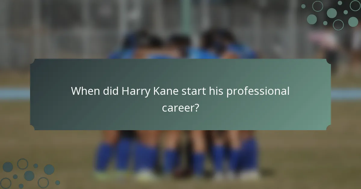 When did Harry Kane start his professional career?